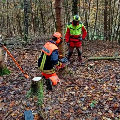 Foto des Albums: Lehrgang Motorkettensäge mit Erfolg beendet