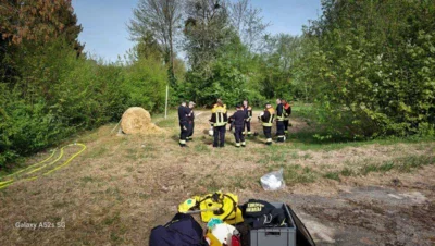 Foto des Albums: Waldbrandseminar