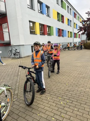 Foto des Albums: Radfahren