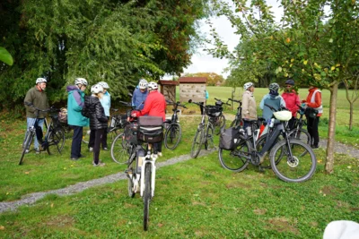 S&uuml;daue  (Bild vergr&ouml;&szlig;ern)