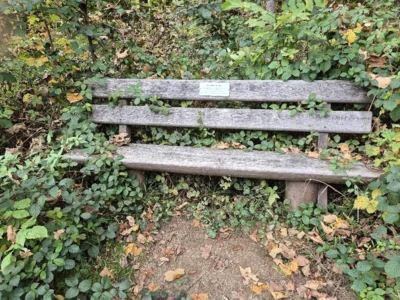 20251019Gimbi1  (Bild vergr&ouml;&szlig;ern)