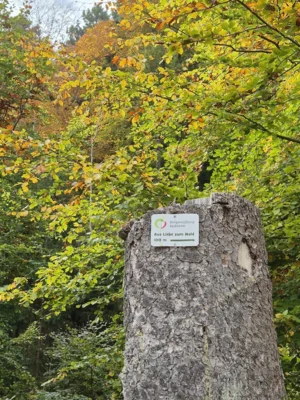 20251019Rossert1  (Bild vergr&ouml;&szlig;ern)