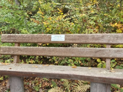 20251019Rossert2  (Bild vergr&ouml;&szlig;ern)