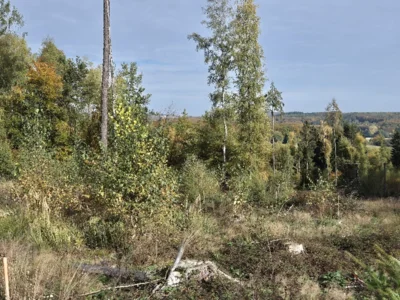 20251019Rossert9  (Bild vergr&ouml;&szlig;ern)