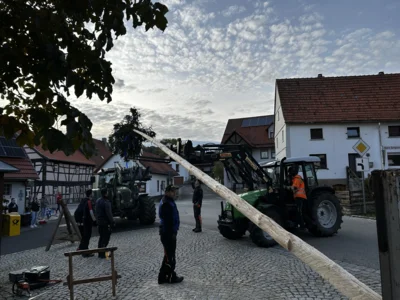 Vorschaubild der Galerie