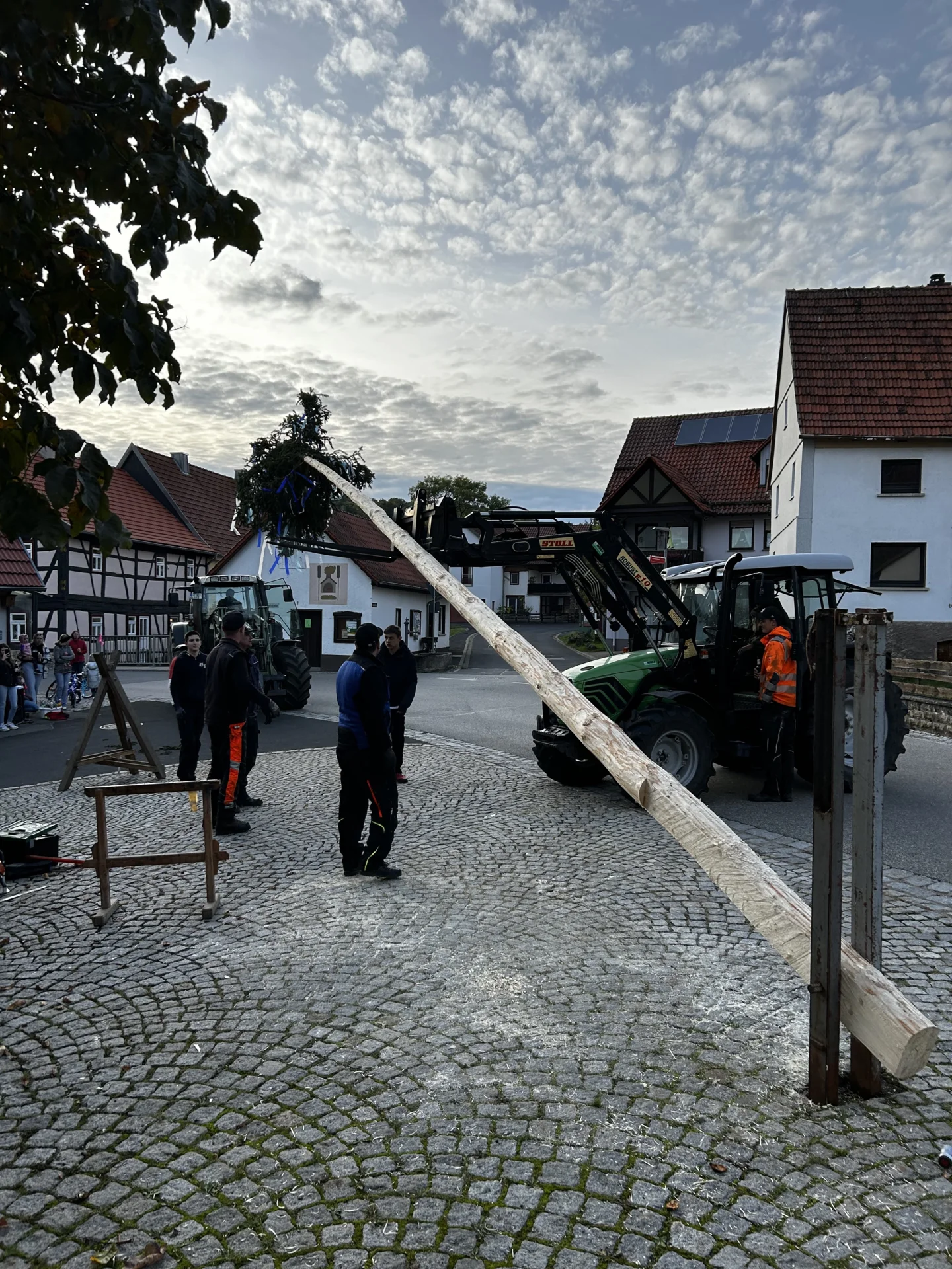 Bild der Galerie