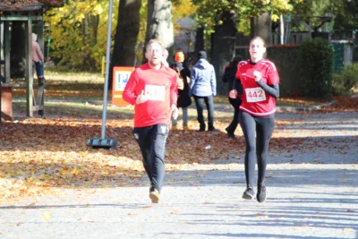 Foto des Albums: Hubertuslauf