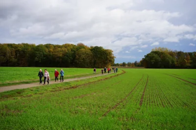 Freies Feld - vor der Ihmer Stra&szlig;e  (Bild vergr&ouml;&szlig;ern)