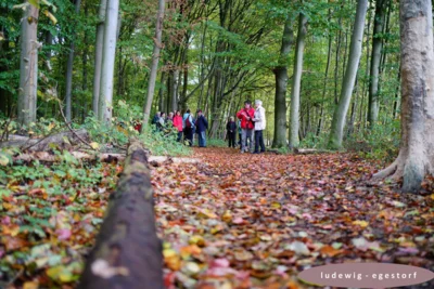 Herbst - Im Vogesort  (Bild vergr&ouml;&szlig;ern)