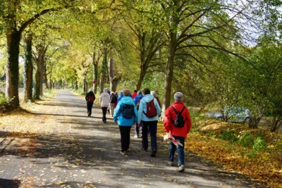 So sieht der Herbst aus  (Bild vergr&ouml;&szlig;ern)