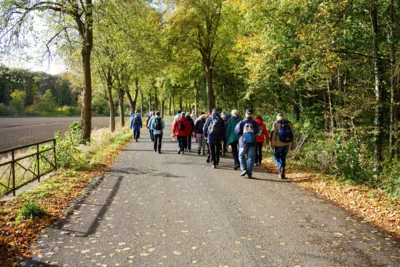 Wald an der K&uuml;ckenm&uuml;hle  (Bild vergr&ouml;&szlig;ern)