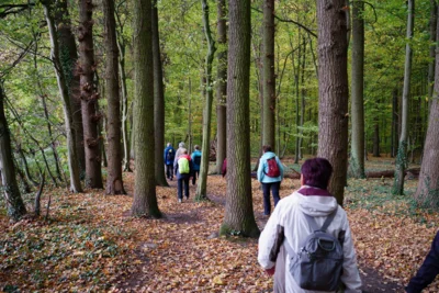 Wettberger Holz  (Bild vergr&ouml;&szlig;ern)