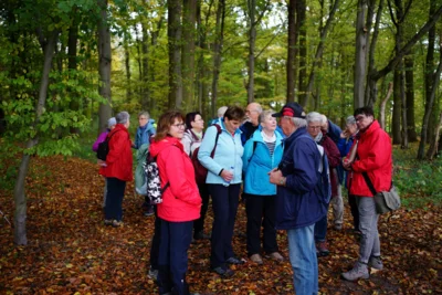 Wettberger Holz - Im Vogesort  (Bild vergr&ouml;&szlig;ern)
