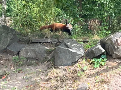 IMG-20251025-WA0017 