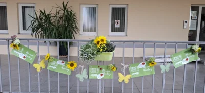Foto des Albums: Rundgang 