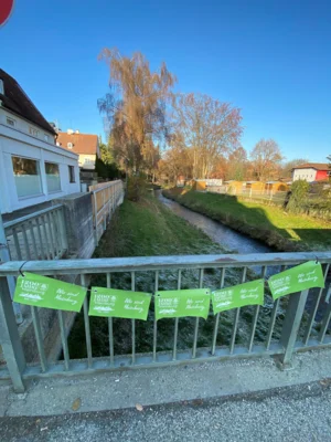 Foto des Albums: Rundgang 