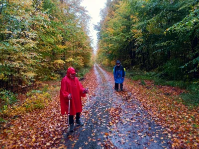 Auf dem Steinweg  (Bild vergr&ouml;&szlig;ern)