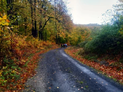 Am Steinberg  (Bild vergr&ouml;&szlig;ern)