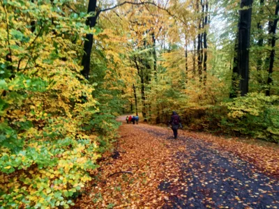 Am Sprenkelberg.  (Bild vergr&ouml;&szlig;ern)