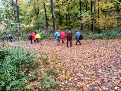 Am Fl&ouml;ttenbach entlang  (Bild vergr&ouml;&szlig;ern)