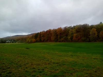 Querbeet.  (Bild vergr&ouml;&szlig;ern)
