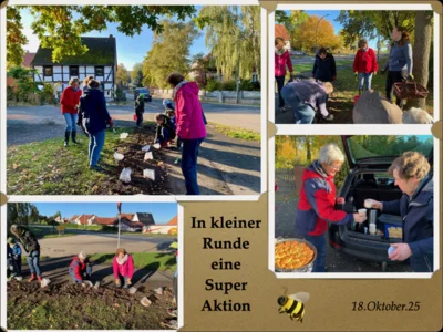 Foto des Albums: Pflanzaktion In Osterlinde