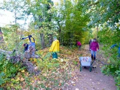 Foto des Albums: Schlossparkpflege_2025