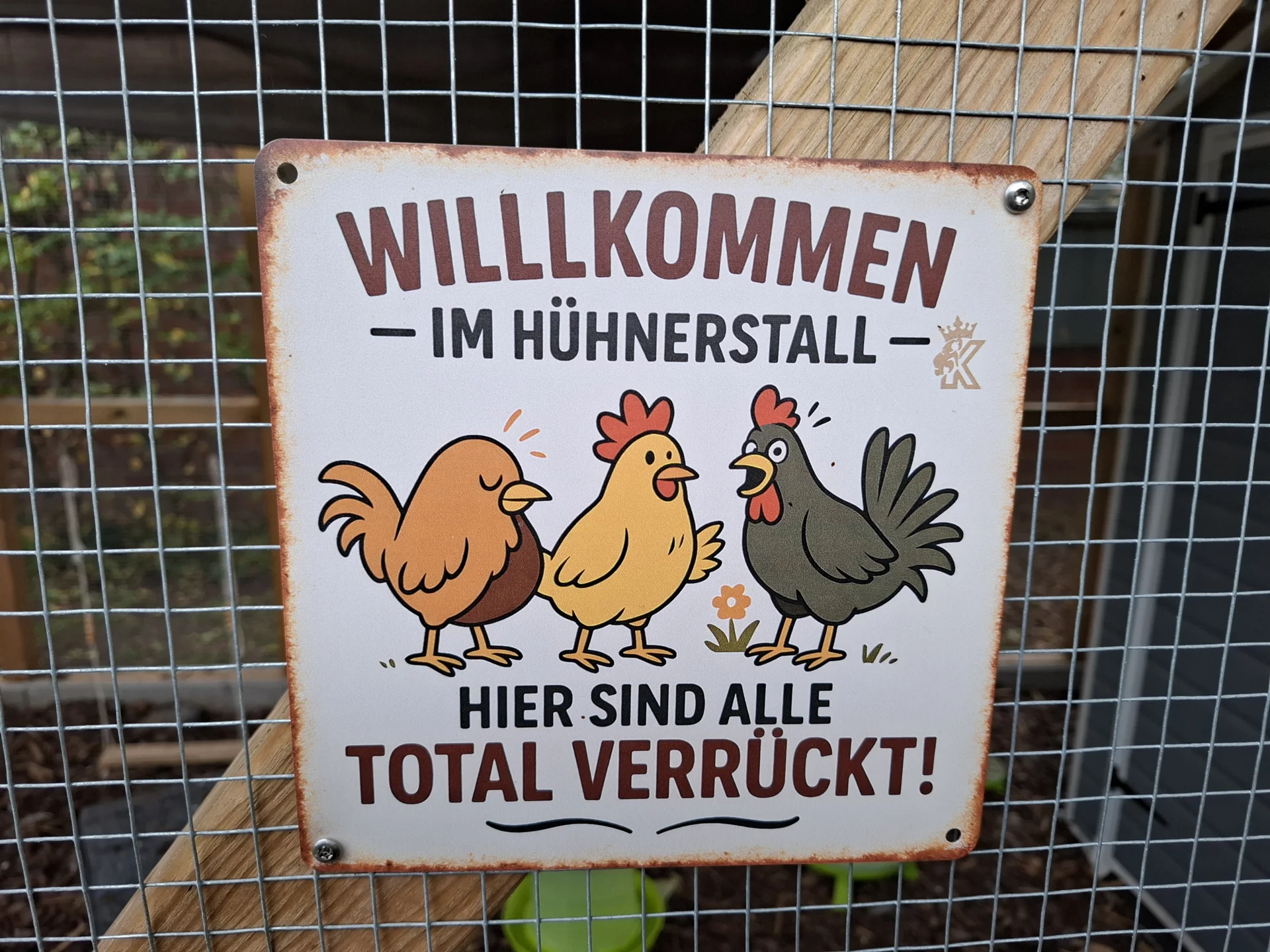Bild: Unsere Hühner