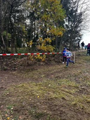 Foto des Albums: Herbstcross Knüllfeld STH (01.​11.​2025)