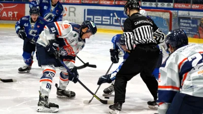 Foto des Albums: Wölfe 11-25