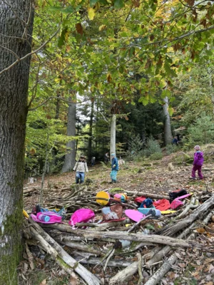 Foto des Albums: Naturparkmodul Wald 2025