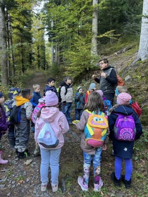 Foto des Albums: Naturparkmodul Wald 2025