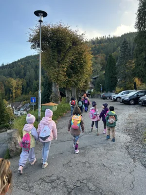 Foto des Albums: Naturparkmodul Wald 2025