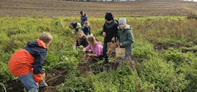 Foto des Albums: 2025 Projekt Kartoffel