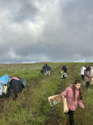 Foto des Albums: 2025 Projekt Kartoffel