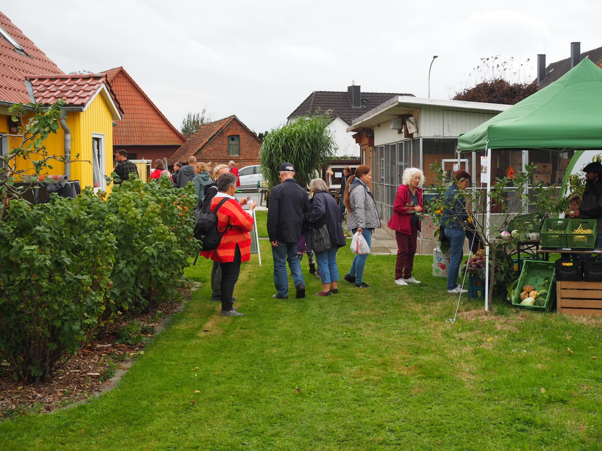 Bild der Galerie