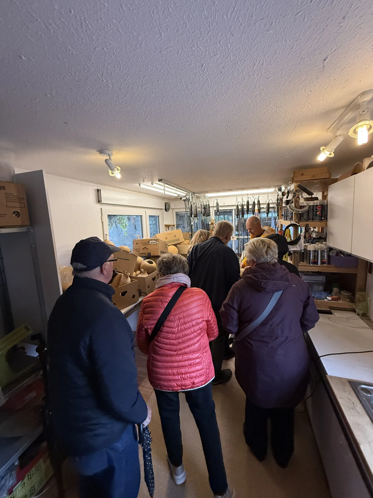 Bild der Galerie
