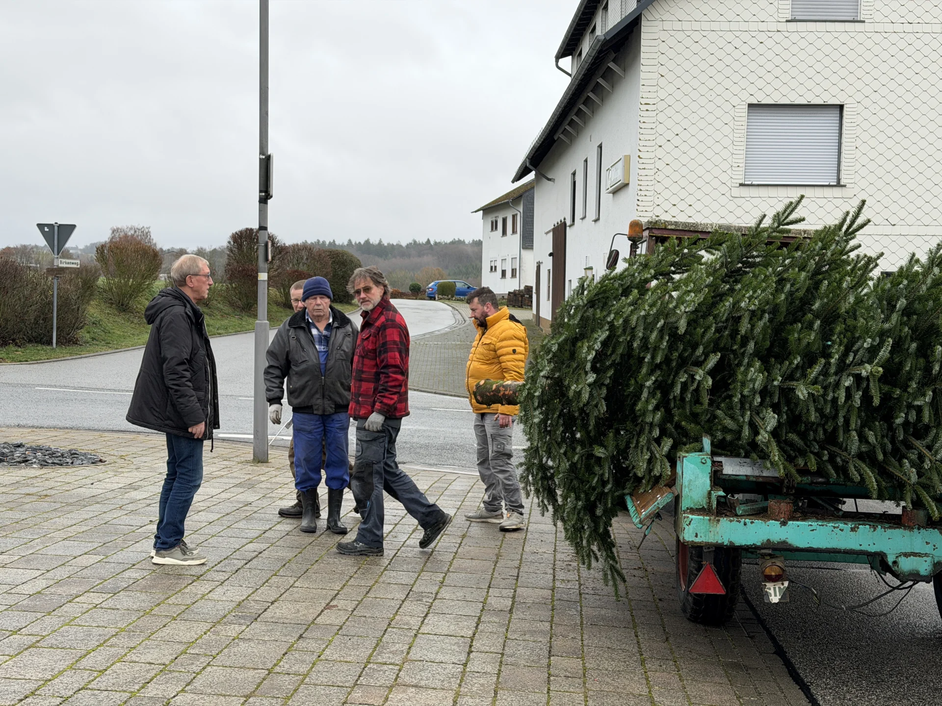 Bild: Fleißige Männer haben den Weihnachtsbaum aufgestellt