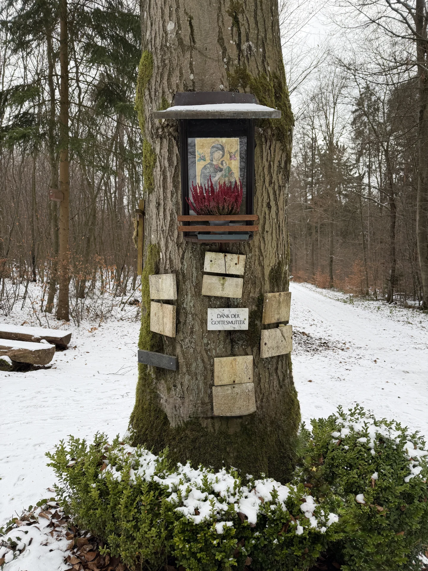 Bild der Galerie