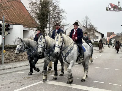 Martiniritt 2025 Miltach 