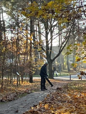 Foto des Albums: Herbstputz am Naturlehrpfad am 08.11.2025