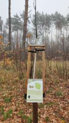 Foto des Albums: Herbstputz am Naturlehrpfad am 08.11.2025