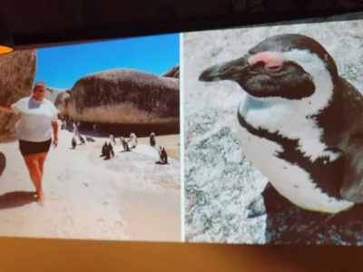 Foto des Albums: Fotoabend „Südafrika“