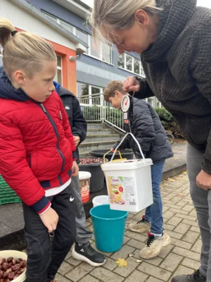 Foto des Albums: 2025 Kastaniensammeln