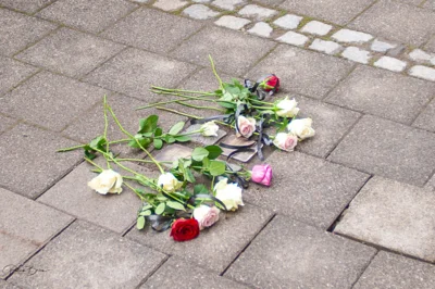 Foto des Albums: Stolpersteine 2025