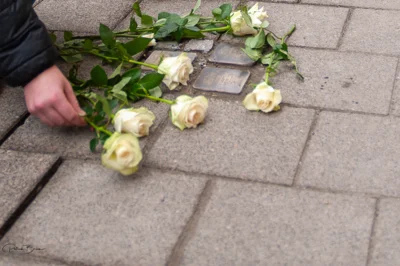 Foto des Albums: Stolpersteine 2025