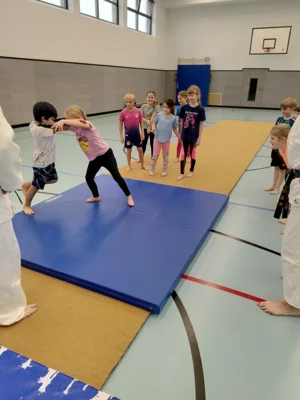 Foto des Albums: Judo Club Uchtelfangen