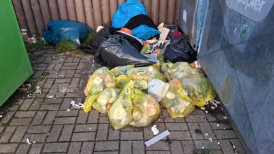 Foto des Albums: illegale Müllentsorgung Samtgemeinde Lühe