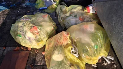 Foto des Albums: illegale Müllentsorgung Samtgemeinde Lühe
