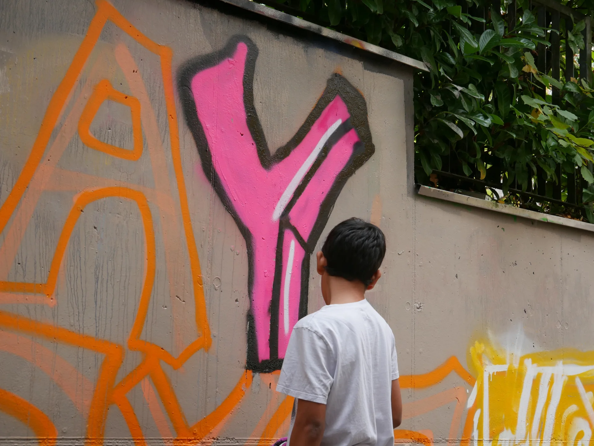 Bild der Galerie
